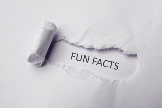 Une image montrant une feuille de papier déchirée avec les mots "FUN FACTS" visibles, suggérant des informations curieuses ou des anecdotes sur l'alcool.