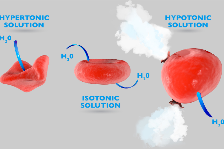 Pourquoi choisir une solution hypotonique comme AQUAPOP pour une hydratation optimale ?